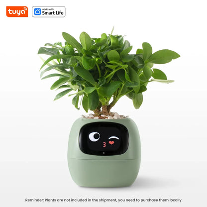 Plantify Smart Planter