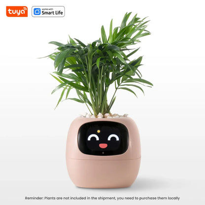 Plantify Smart Planter