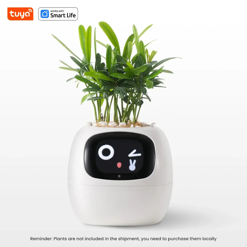 Plantify Smart Planter