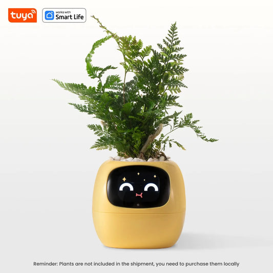 Plantify Smart Planter